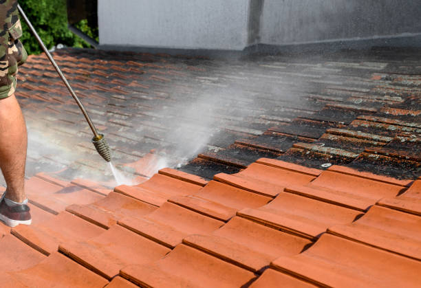 Best Affordable Pressure Washing  in Pleasureville, PA